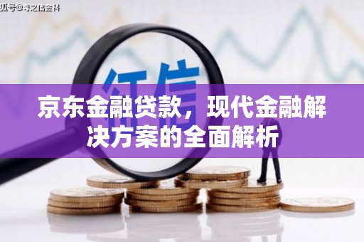 广阳京东金融贷款，现代金融解决方案的全面解析