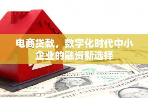 广阳电商贷款，数字化时代中小企业的融资新选择