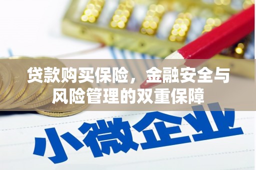 广阳贷款购买保险，金融安全与风险管理的双重保障