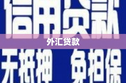 广阳外汇贷款