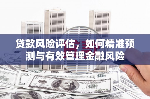 广阳贷款风险评估，如何精准预测与有效管理金融风险