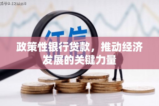 广阳政策性银行贷款，推动经济发展的关键力量