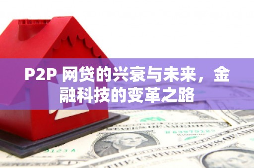 广阳P2P 网贷的兴衰与未来，金融科技的变革之路
