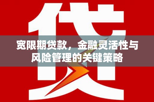 广阳宽限期贷款，金融灵活性与风险管理的关键策略