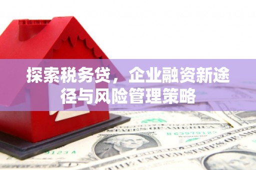 广阳探索税务贷，企业融资新途径与风险管理策略