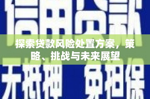 广阳探索贷款风险处置方案，策略、挑战与未来展望