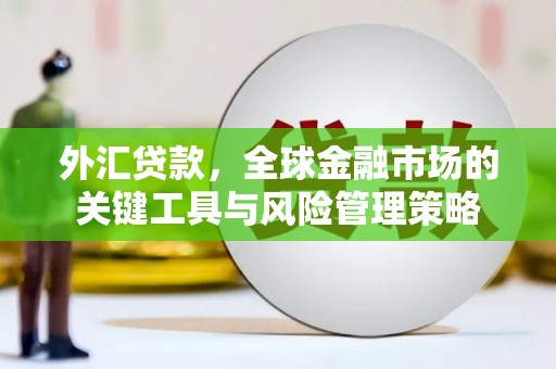 广阳外汇贷款，全球金融市场的关键工具与风险管理策略