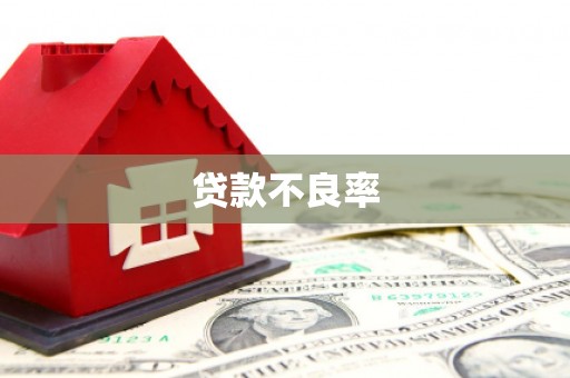 广阳贷款不良率
