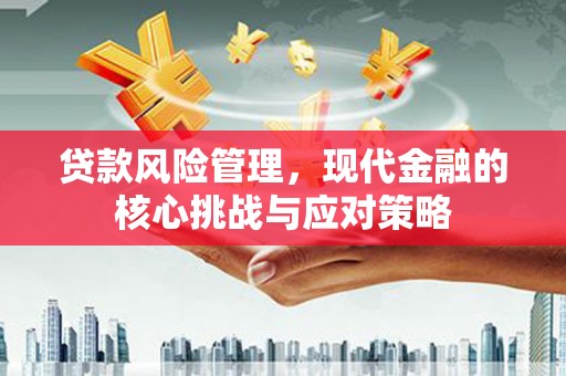 广阳贷款风险管理，现代金融的核心挑战与应对策略