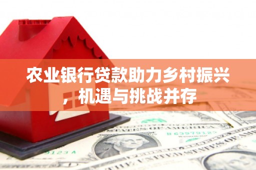 广阳农业银行贷款助力乡村振兴，机遇与挑战并存