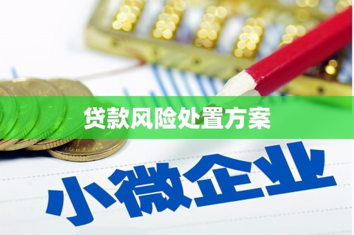 广阳贷款风险处置方案
