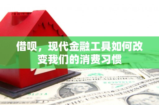 广阳借呗，现代金融工具如何改变我们的消费习惯