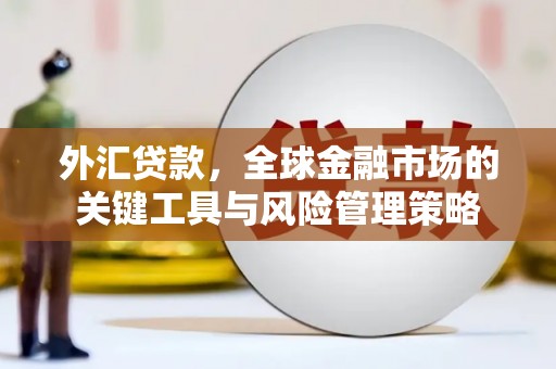 广阳外汇贷款，全球金融市场的关键工具与风险管理策略