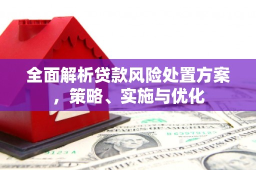 广阳全面解析贷款风险处置方案，策略、实施与优化