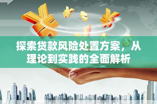 广阳探索贷款风险处置方案，从理论到实践的全面解析