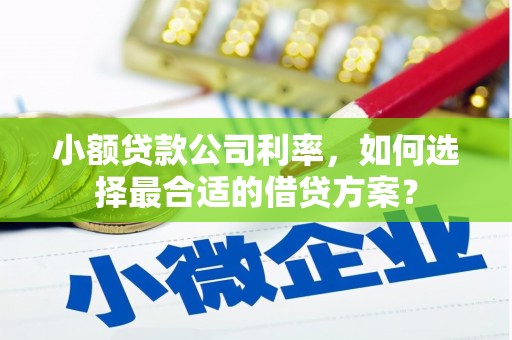 广阳小额贷款公司利率，如何选择最合适的借贷方案？