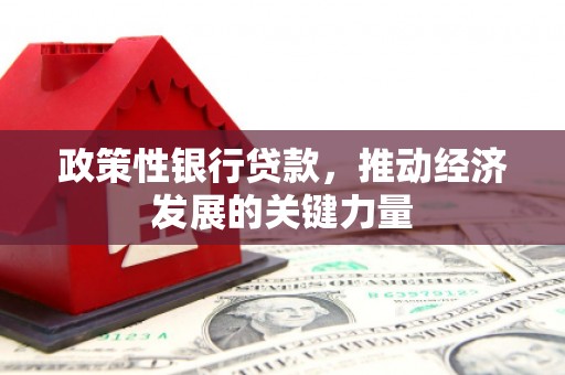 广阳政策性银行贷款，推动经济发展的关键力量