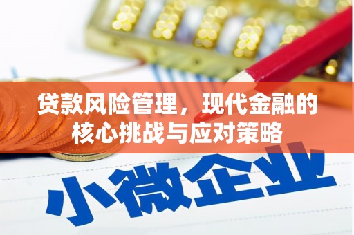 广阳贷款风险管理，现代金融的核心挑战与应对策略