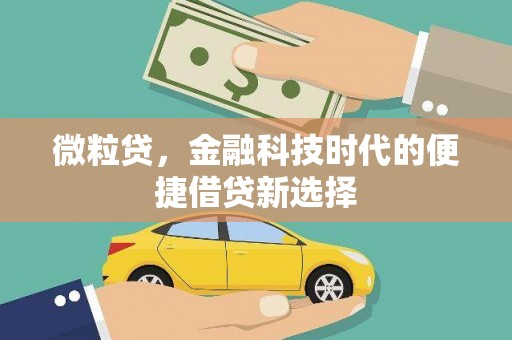 广阳微粒贷，金融科技时代的便捷借贷新选择