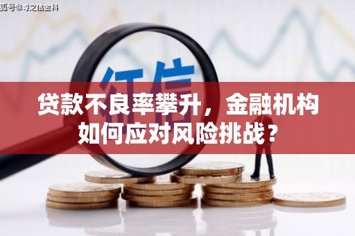 广阳贷款不良率攀升，金融机构如何应对风险挑战？