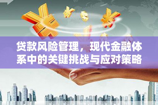 广阳贷款风险管理，现代金融体系中的关键挑战与应对策略