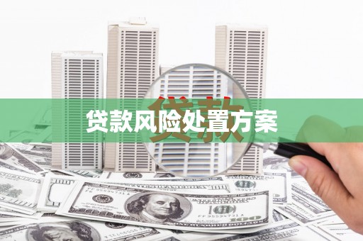 广阳贷款风险处置方案