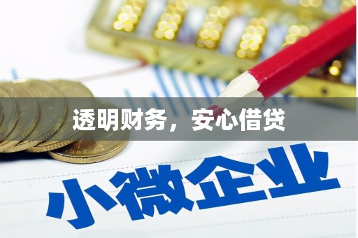 广阳透明财务，安心借贷