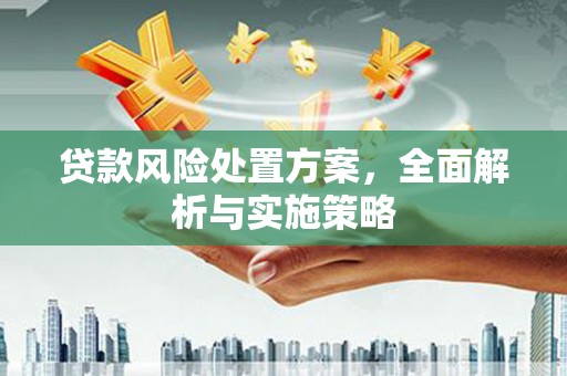 广阳贷款风险处置方案，全面解析与实施策略