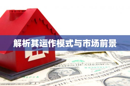 广阳解析其运作模式与市场前景