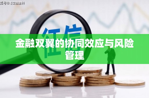 广阳金融双翼的协同效应与风险管理